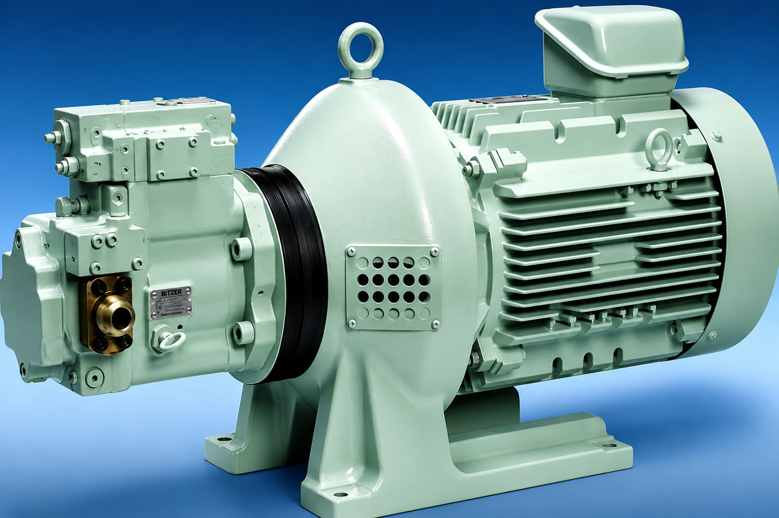 Hydraulic Pumps and Motor